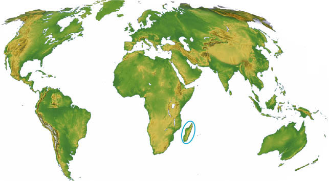 Karta world original madagascar